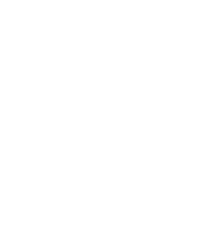 Shape Image